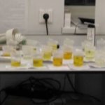 Bacteria in urine