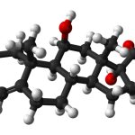 Hormone cortisol