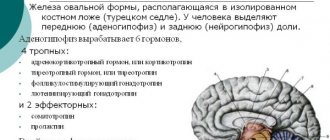 Гормон ЛГ: что это такое у женщин, норма при менопаузе, на какой день цикла сдавать анализ. Таблица и расшифровка