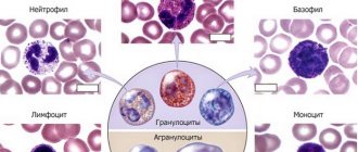 GRA in blood test. What is it, explanation, the norm for women, children, men. What does it mean to do 