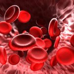 Какая самая редкая группа крови у человека и почему