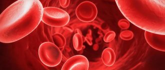 кровяные клетки