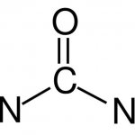 Urea in the blood is increased. Causes, how to treat, symptoms, diet, folk remedies, medications 