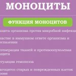 Моноциты в крови у ребенка. Норма, причины повышения в анализе по возрасту. Таблица. Что это значит, как лечить