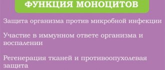 Моноциты в крови у ребенка. Норма, причины повышения в анализе по возрасту. Таблица. Что это значит, как лечить