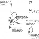 Alkaline phosphatase levels in the blood and causes of deviations