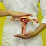 oncological diseases of the female reproductive organs