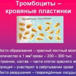 PCT в анализе крови. Что это такое, расшифровка, норма. Что значит повышен, понижен показатель