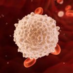 Повышенные лейкоциты в крови у женщин – причины и последствия