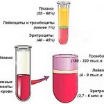 Calculation of hematocrit in a blood test
