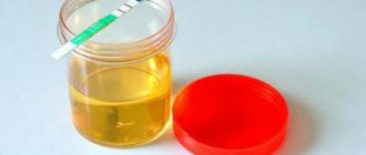 How long can urine be stored for pregnancy testing?