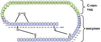 Peptide connection with insulin